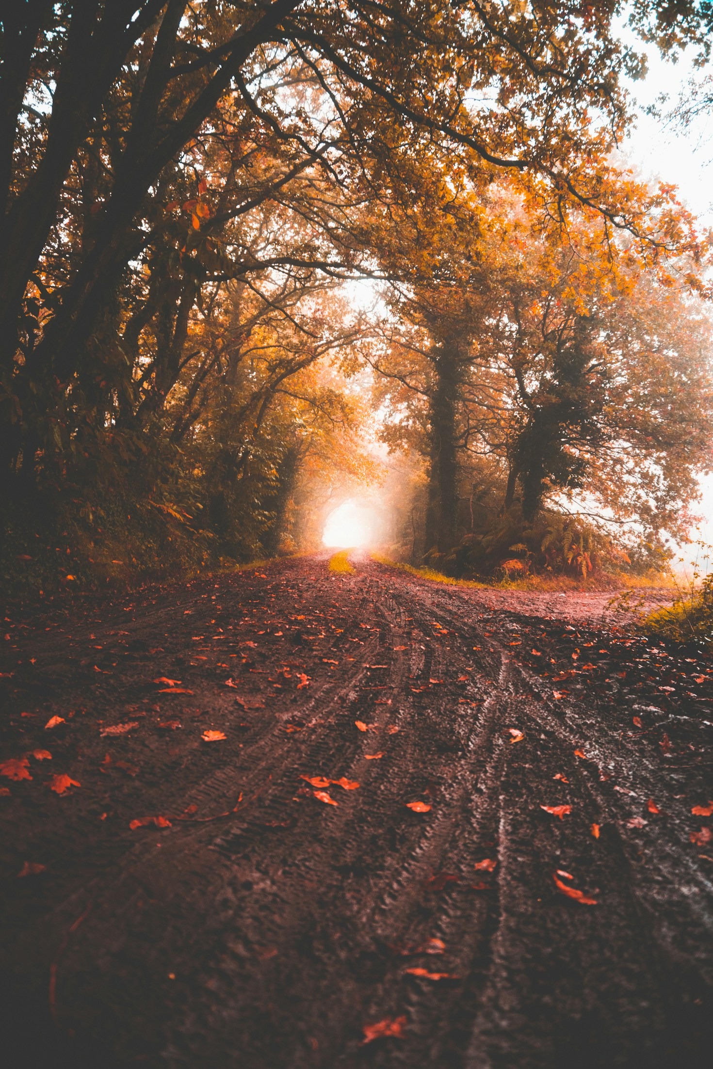 A Guide to Discovering Joy in Routine Tasks